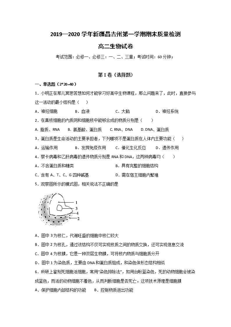 2019-2020学年新疆昌吉市教育共同体高二上学期期末考试生物试题 word版第1页