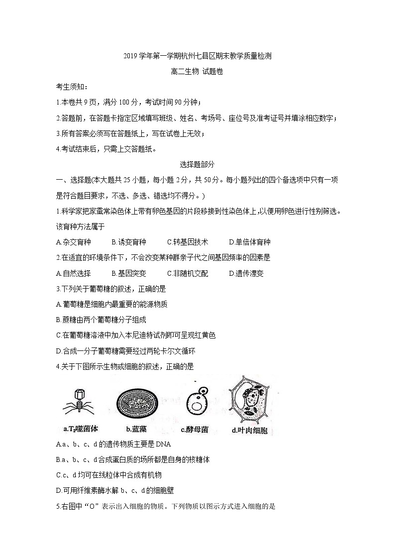 2019-2020学年浙江省杭州市七县区高二上学期期末考试 生物 word版01