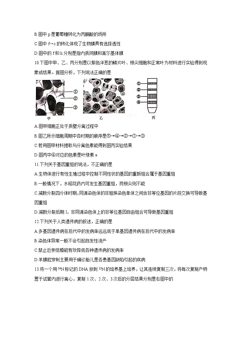 2019-2020学年浙江省杭州市七县区高二上学期期末考试 生物 word版03