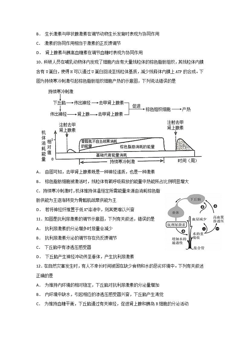 2018-2019学年吉林省长春市第十一高中高二上学期期末考试生物试题 Word版第3页