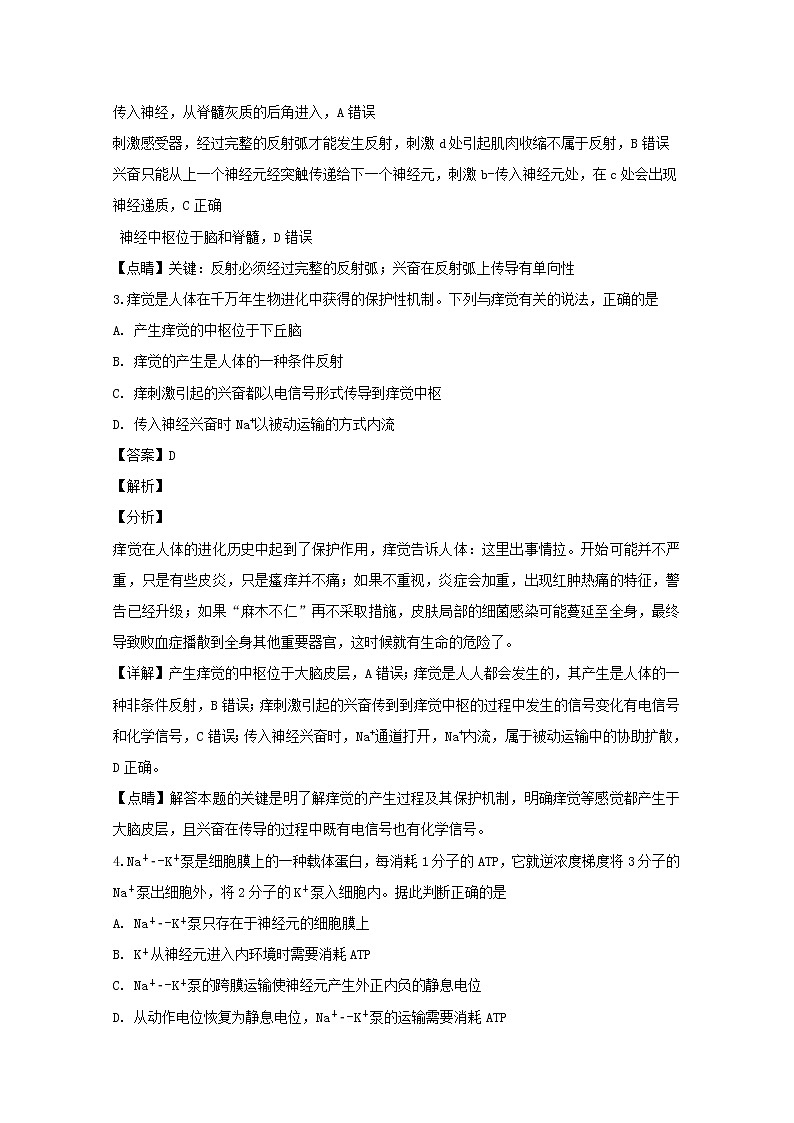 2018-2019学年吉林省长春市第十一高中高二上学期期末考试生物试题 解析版02