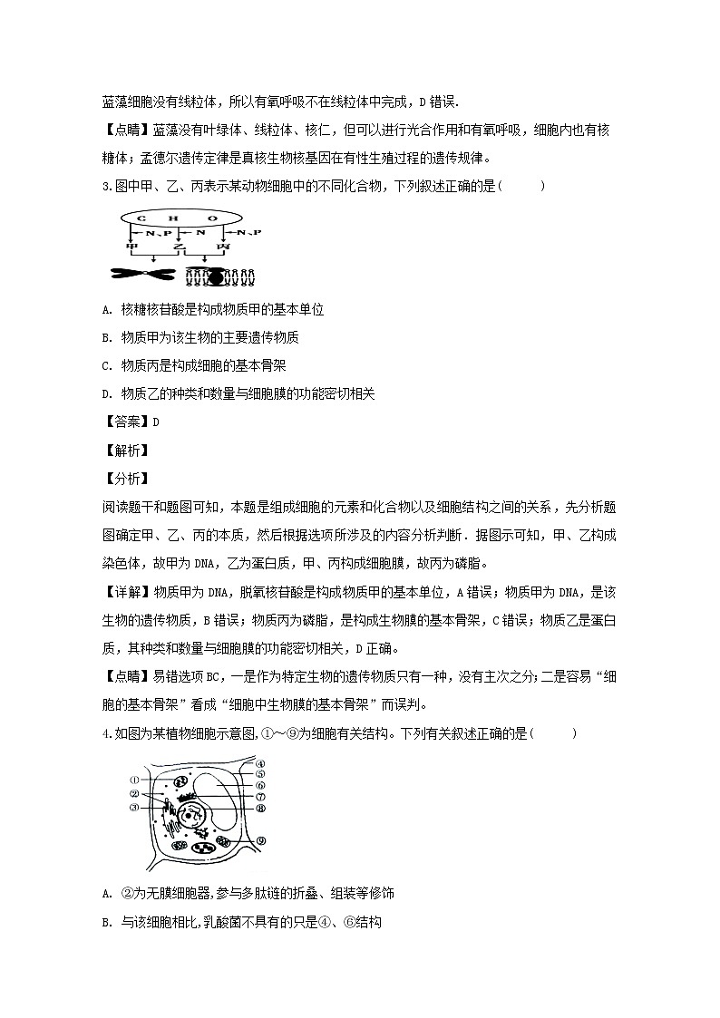 2018-2019学年江西省奉新县第一中学高二上学期期末考试生物试题 解析版02