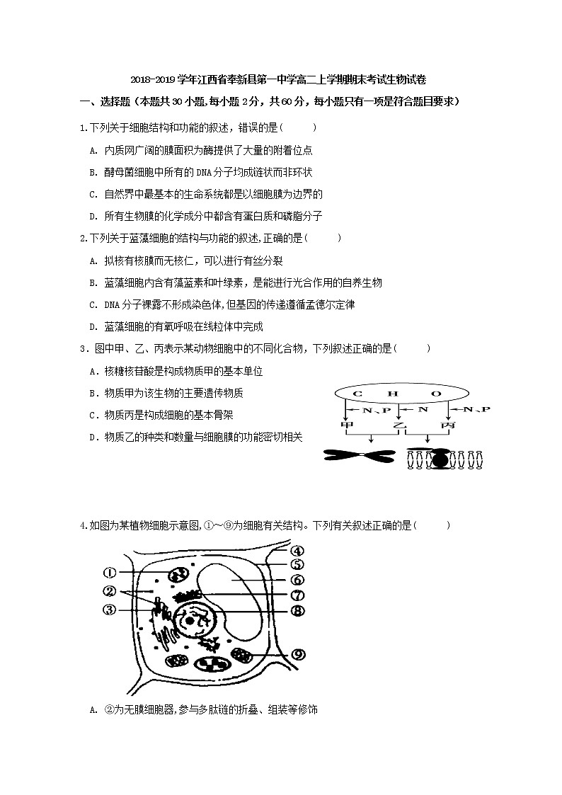 2018-2019学年江西省奉新县第一中学高二上学期期末考试生物试题 Word版01