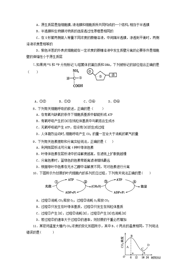 2018-2019学年辽宁省本溪市第一中学高二上学期期末考试生物试题 Word版第2页