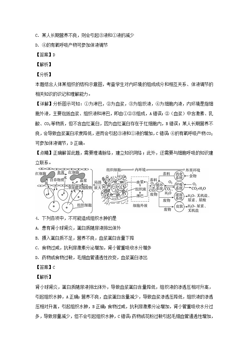 2018-2019学年辽宁省辽河油田第二高级中学高二上学期期末考试生物试题 解析版第2页