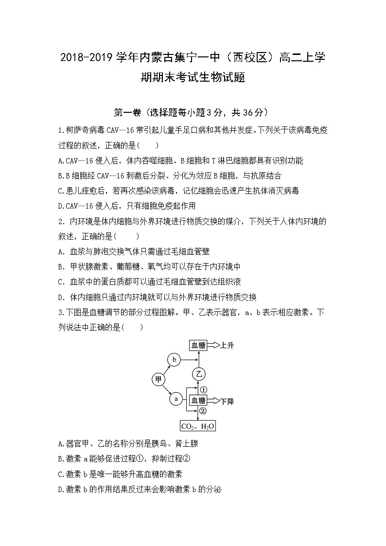 2018-2019学年内蒙古集宁一中（西校区）高二上学期期末考试生物试题 Word版01
