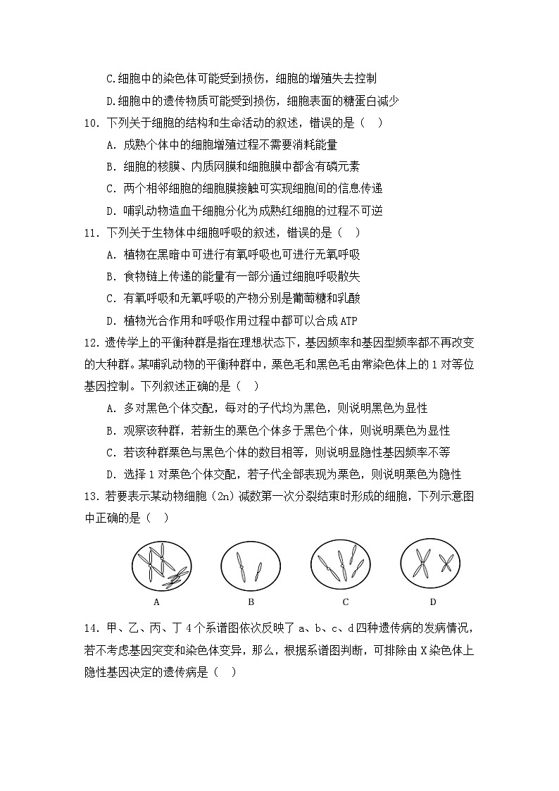 2018-2019学年内蒙古集宁一中高二上学期期末考试生物试题 Word版03