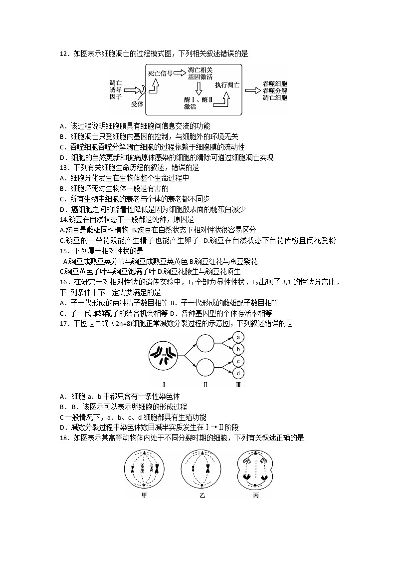 2018-2019学年宁夏育才中学高二上学期期末考试生物试题 Word版03