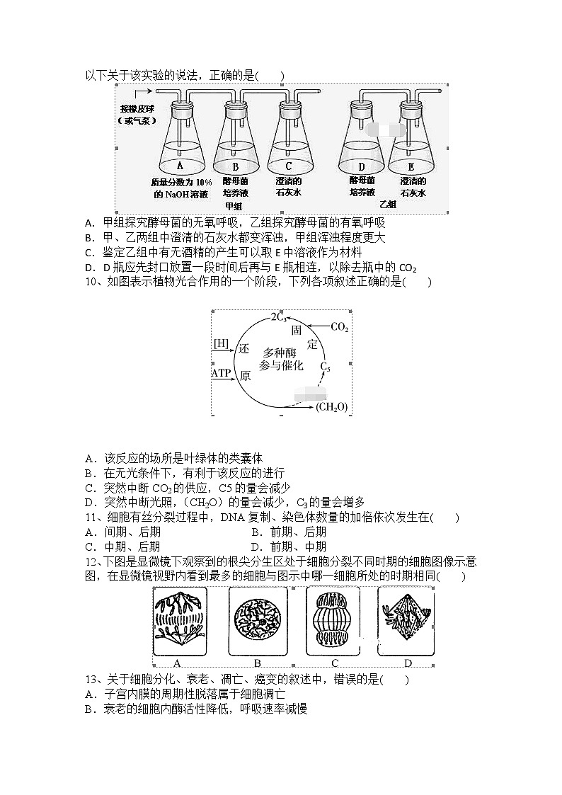 2018-2019学年陕西省西安中学高二（文科班）上学期期末考试生物试题 Word版第2页