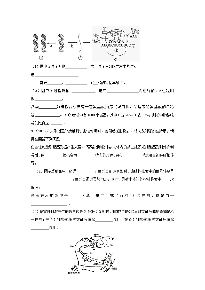 2018-2019学年四川省棠湖中学高二上学期期末考试生物试题 word版03