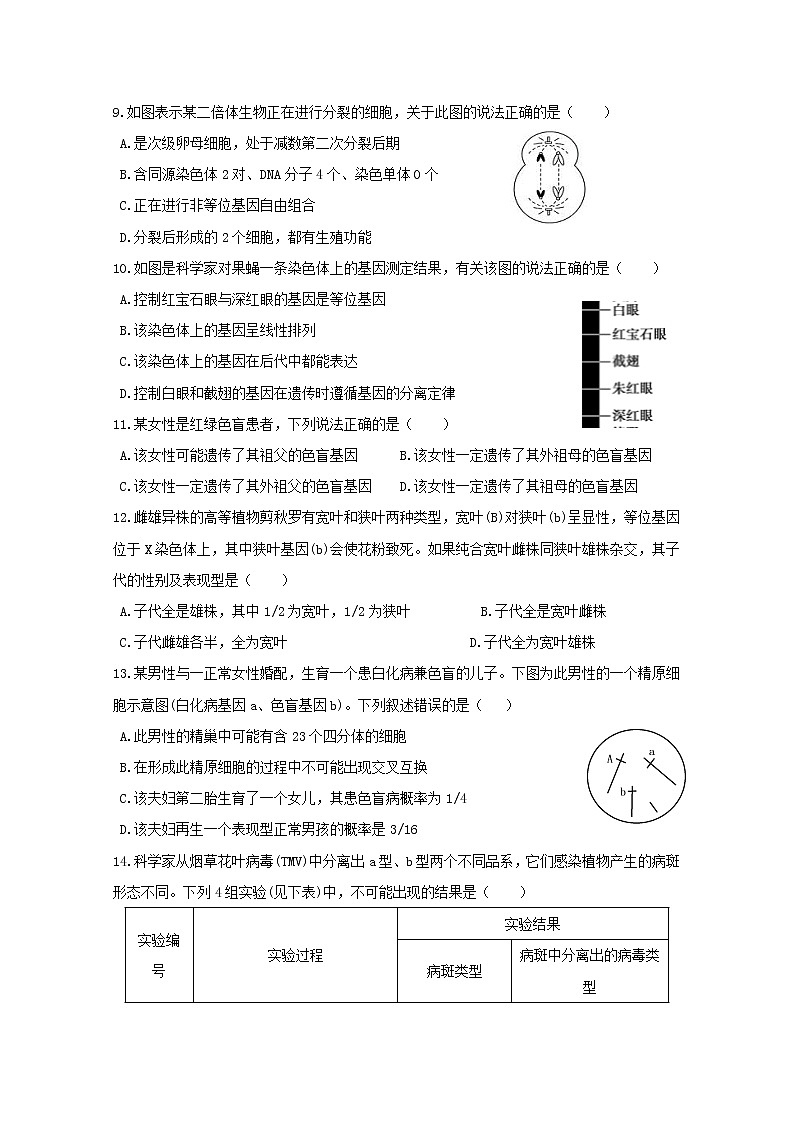 2018-2019学年陕西省西安市长安区第一中学高二上学期期末考试生物（理）试题 Word版第2页