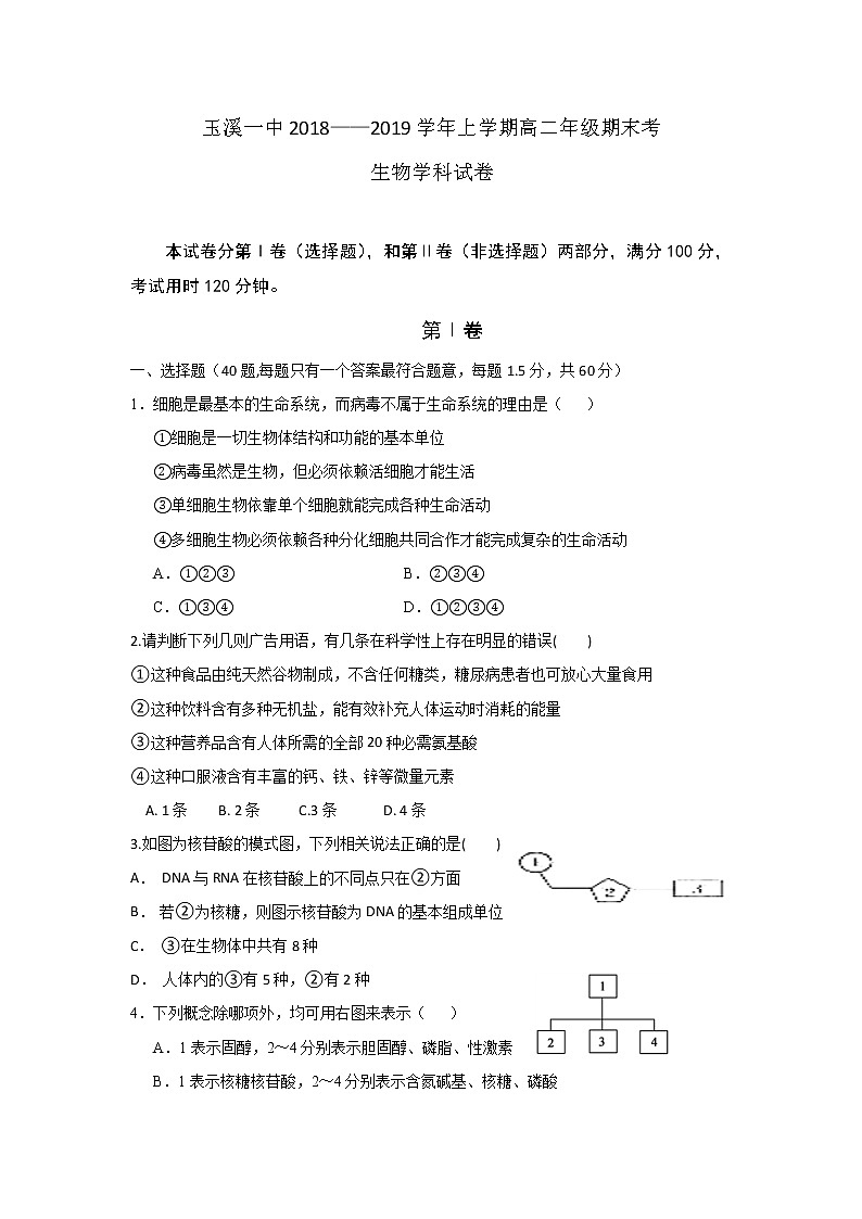 2018-2019学年云南省玉溪一中高二上学期期末考试生物试题 Word版01