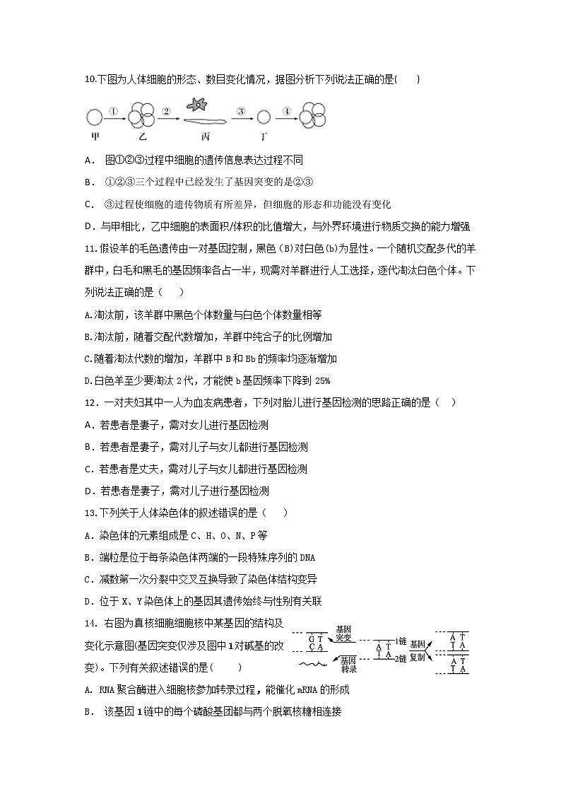2018-2019学年云南省玉溪一中高二上学期期末考试生物试题 Word版03