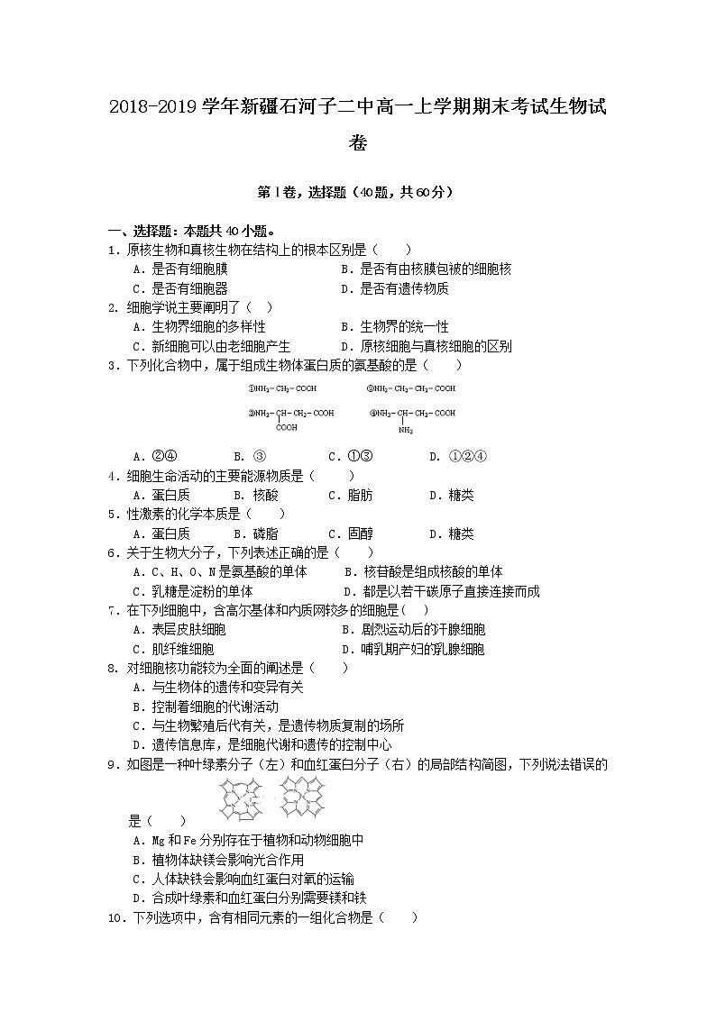 2018-2019学年新疆石河子二中高一上学期期末考试生物试卷第1页