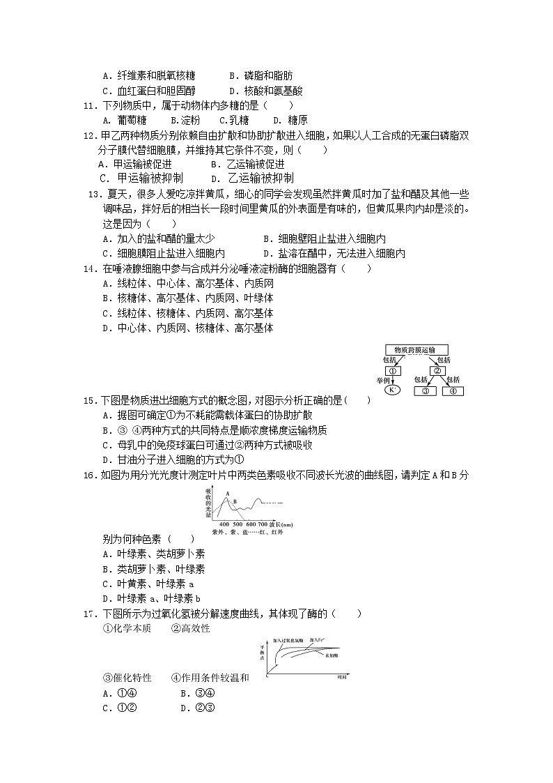 2018-2019学年新疆石河子二中高一上学期期末考试生物试卷第2页