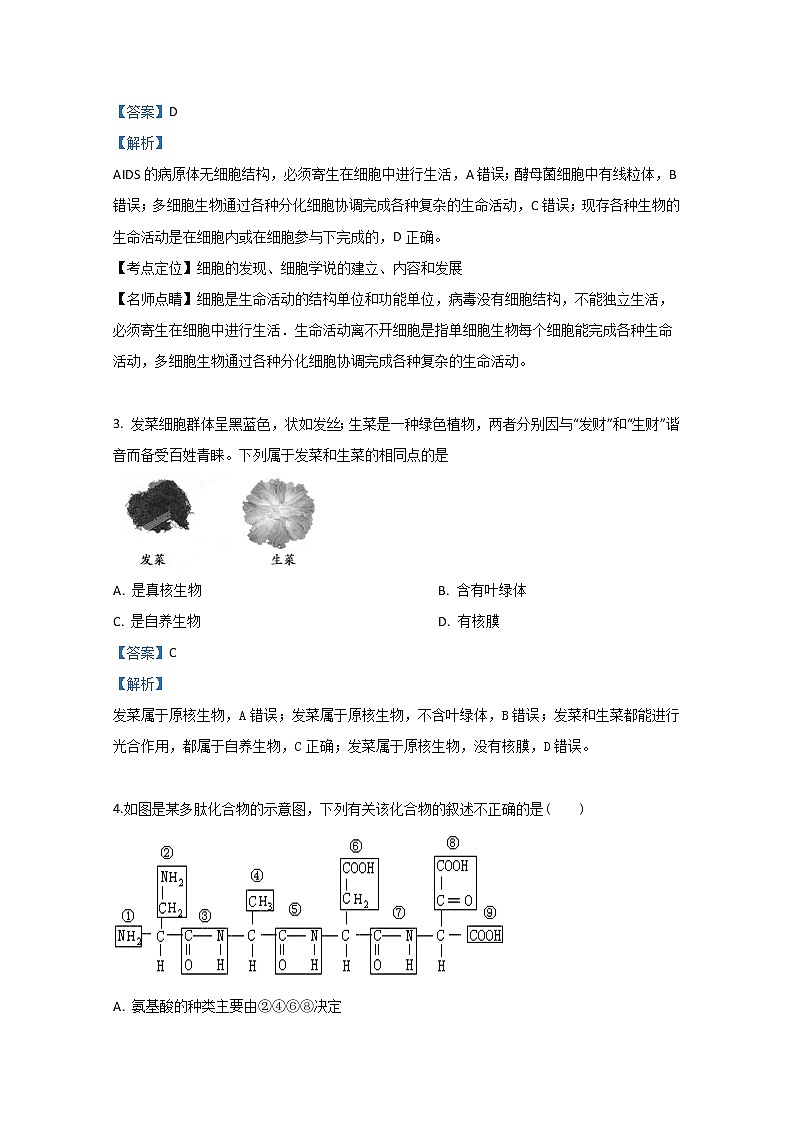 2018-2019学年新疆实验中学高二上学期期末考试生物试题 解析版第2页