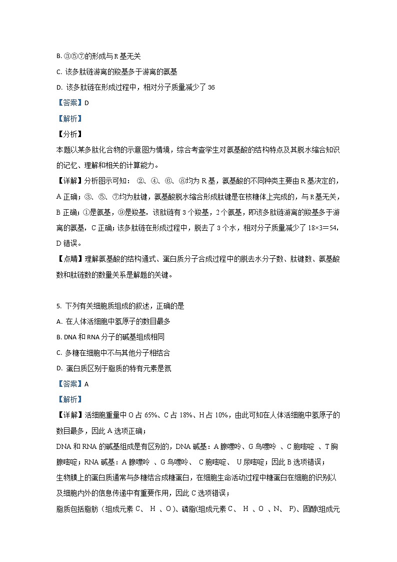 2018-2019学年新疆实验中学高二上学期期末考试生物试题 解析版第3页