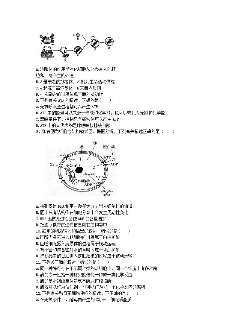 2018-2019学年云南省玉溪市民族中学高二上学期期末考试生物试题（Word版）02