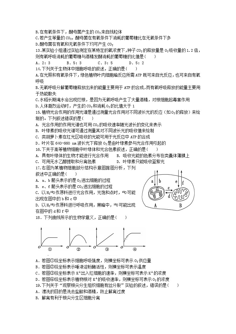 2018-2019学年云南省玉溪市民族中学高二上学期期末考试生物试题（Word版）03