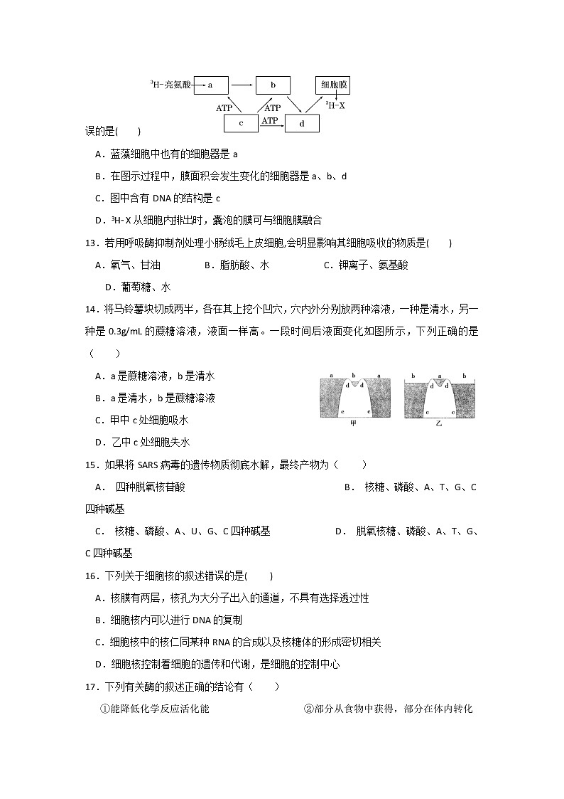 2018-2019学年云南省云天化中学高二上学期期末考试生物（理）试题 Word版03