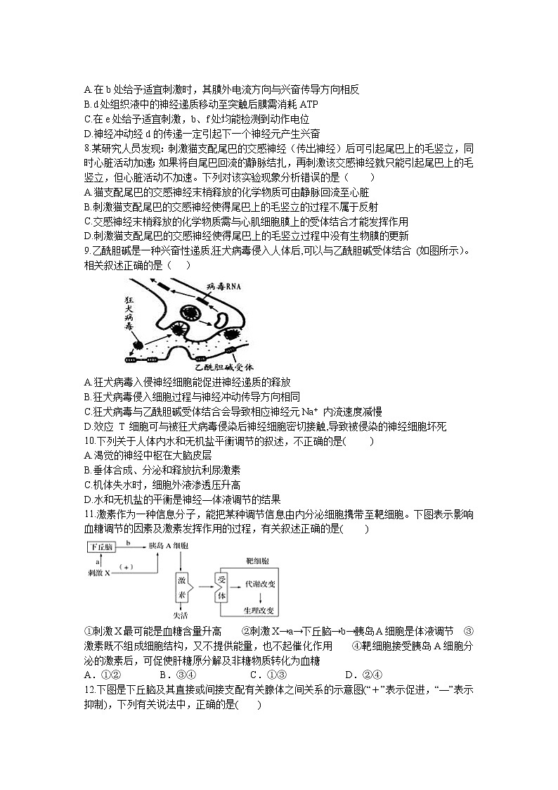 2018-2019学年安徽省宿州市十三所重点中学高二上学期期末质量检测生物（理）试题 word版第2页