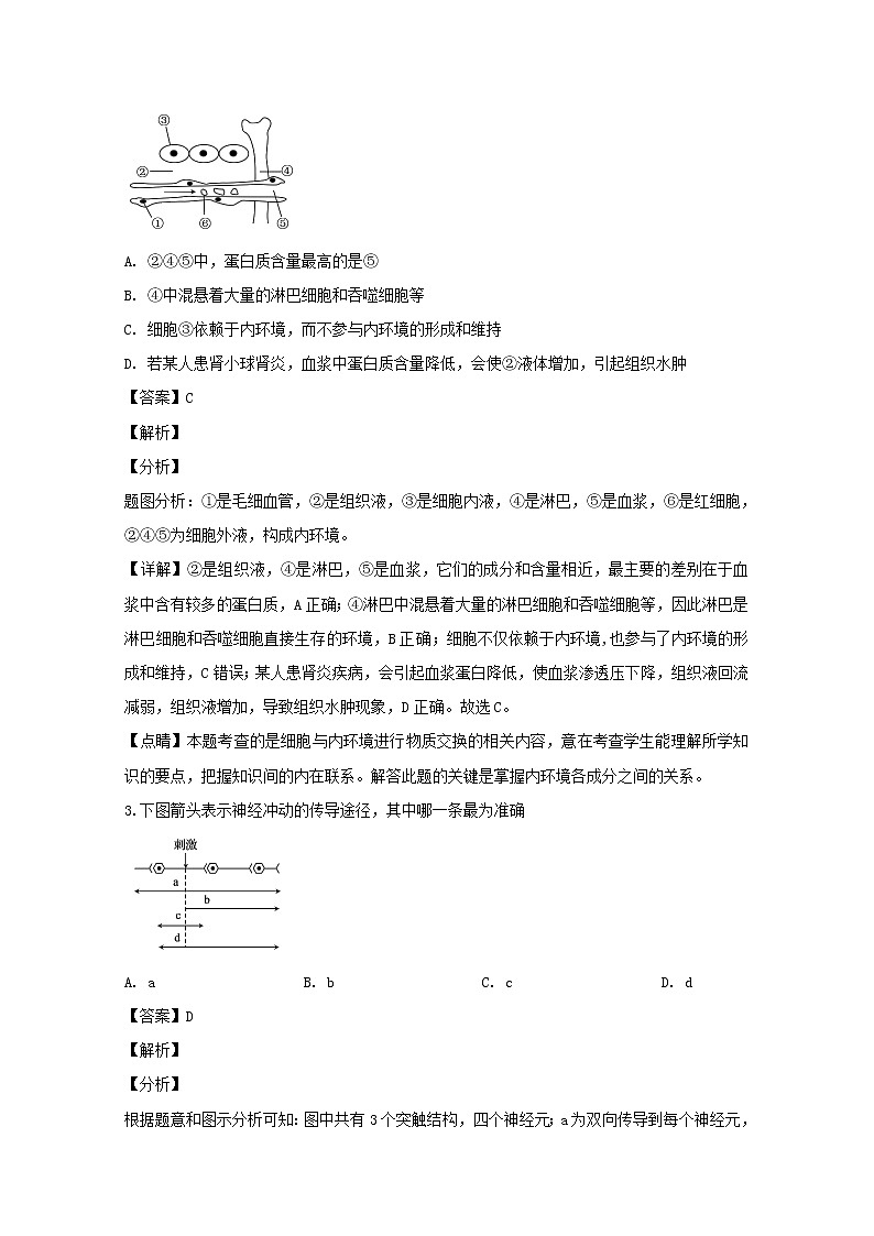2018-2019学年安徽省宣城市八校高二上学期期末联考生物试题 解析版第2页