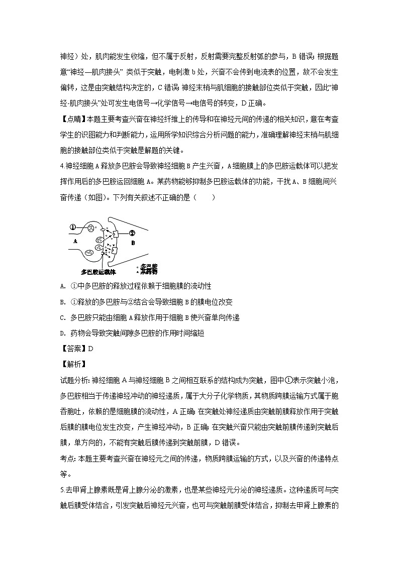 2018-2019学年北京市丰台区高二上学期期末考试生物试题 解析版03
