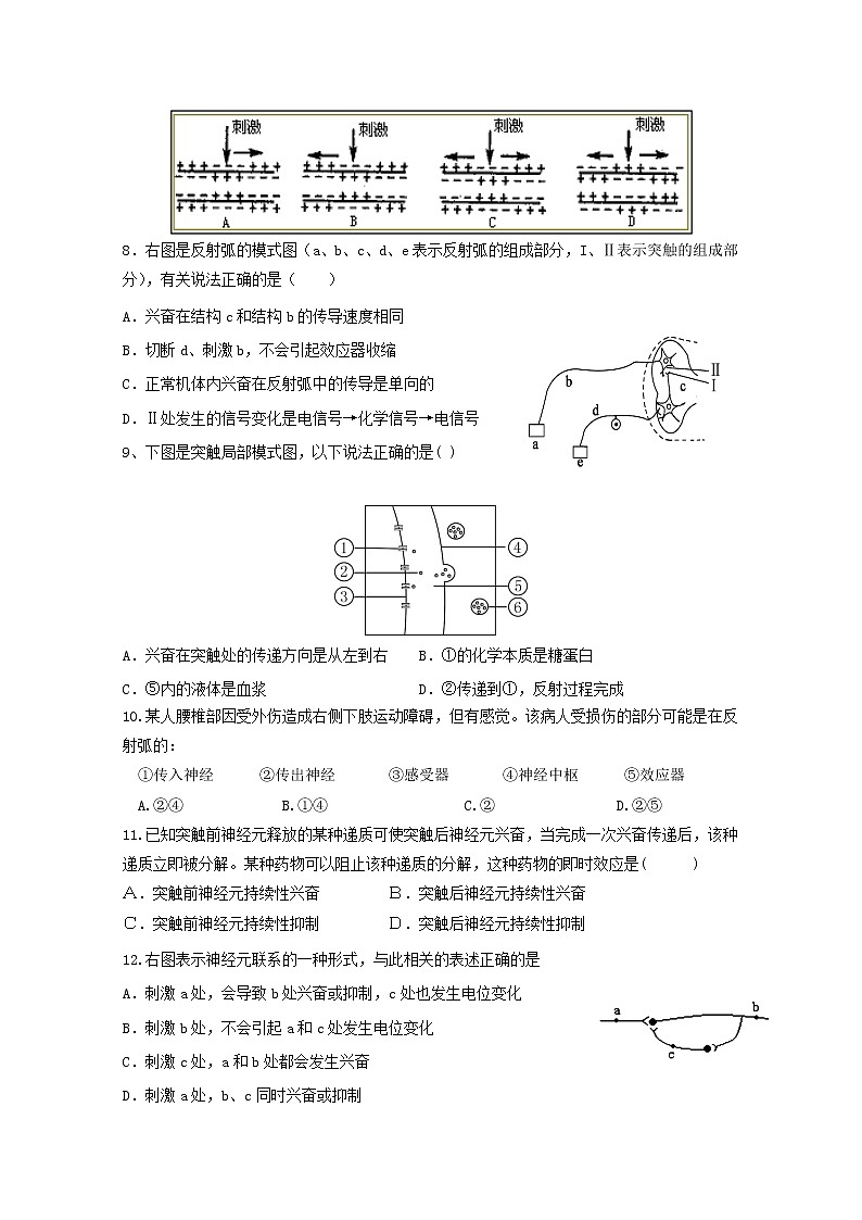 2018-2019学年安徽省宿州市埇桥区高二上学期期末考试生物试题 Word版02