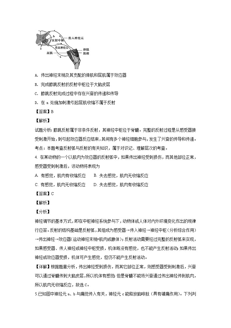 2018-2019学年北京市东城区高二上学期期末考试生物试题 解析版第2页