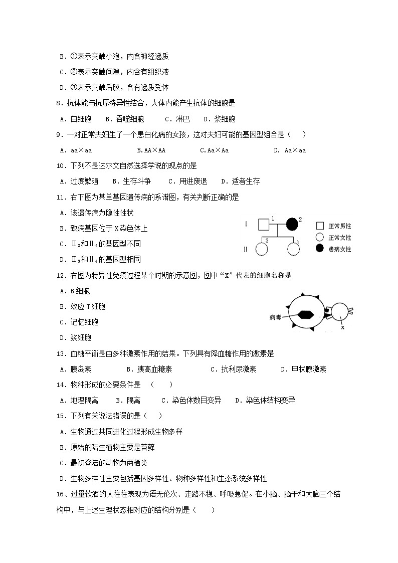 2018-2019学年福建省莆田第八中学高二上学期期末考试生物（文）试题 Word版02