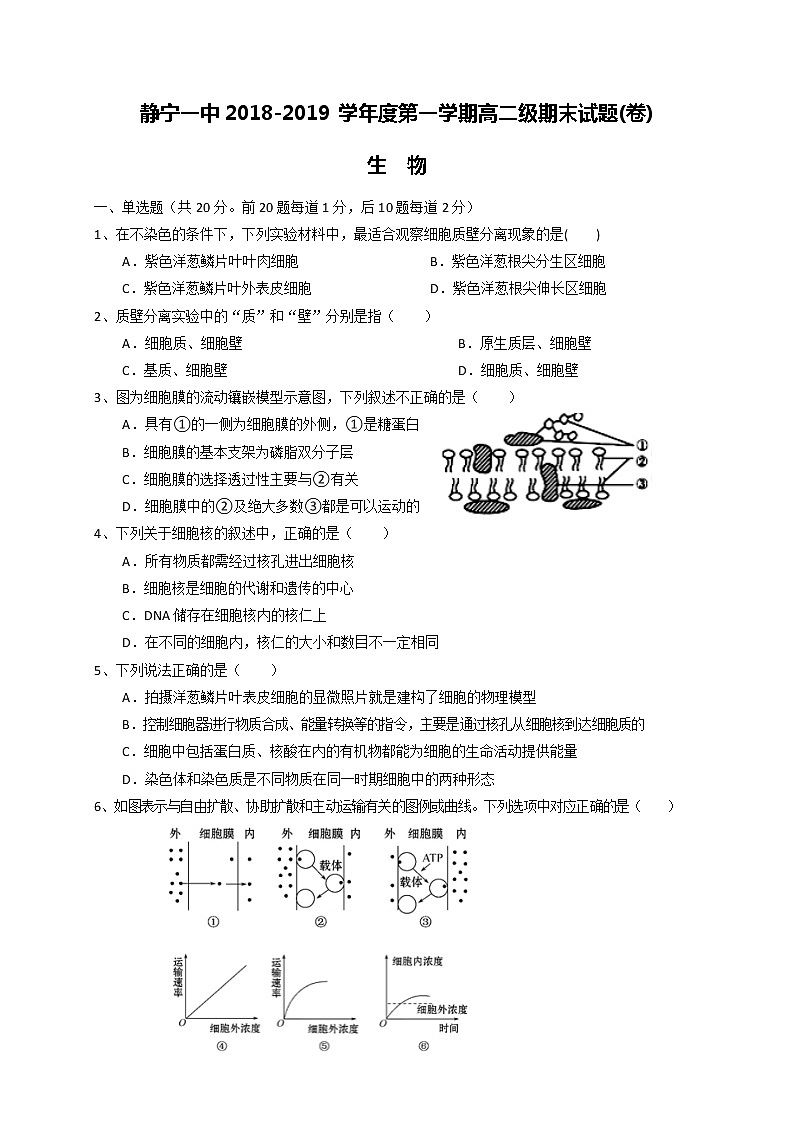 2018-2019学年甘肃省静宁县第一中学高二上学期期末考试生物试题（5-14班） word版01