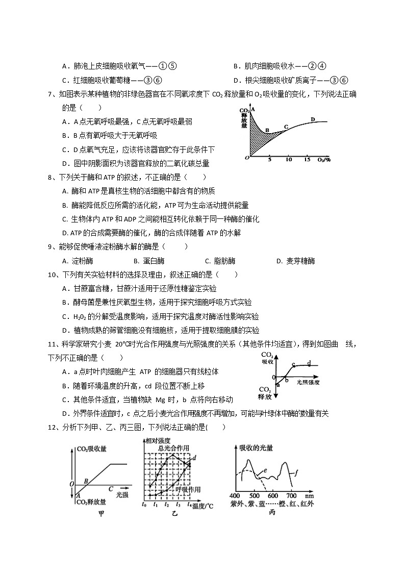 2018-2019学年甘肃省静宁县第一中学高二上学期期末考试生物试题（5-14班） word版02