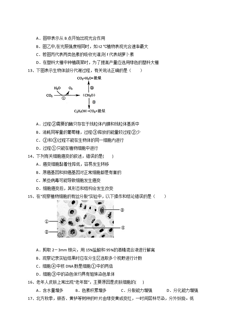 2018-2019学年甘肃省静宁县第一中学高二上学期期末考试生物试题（5-14班） word版03
