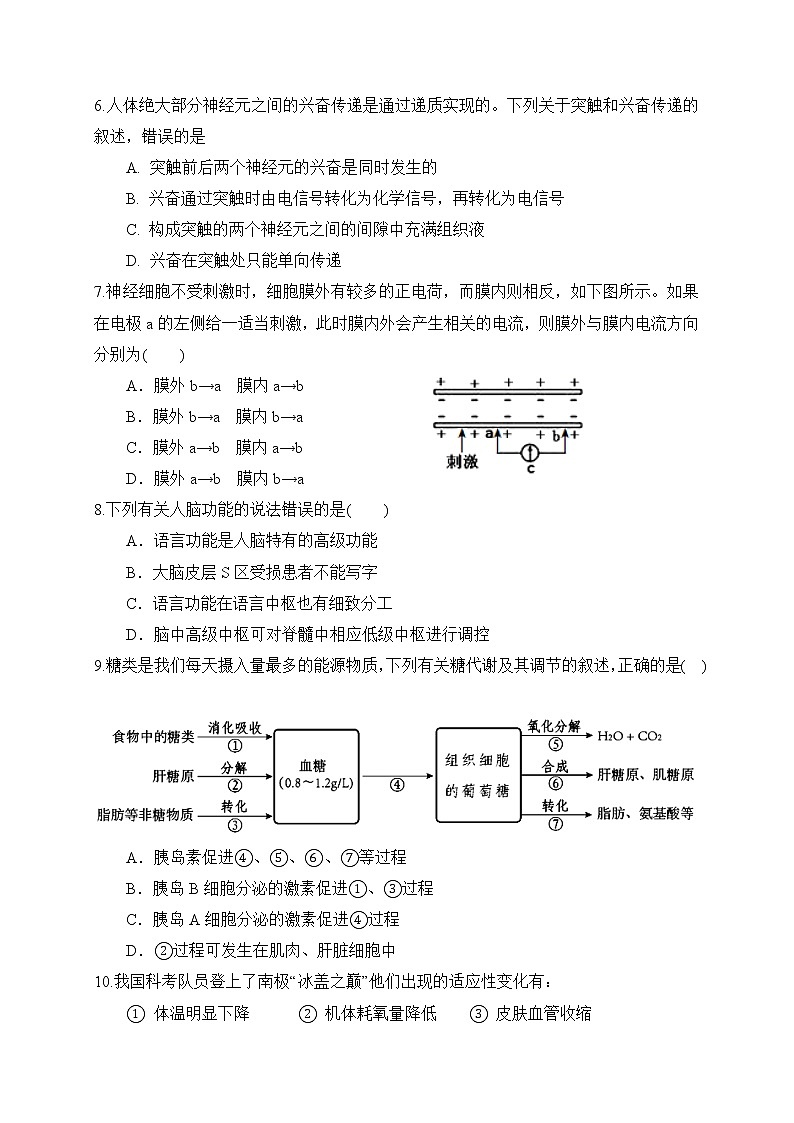 2018-2019学年福建省永春一中高二上学期期末考试生物（理）试题（Word版）02