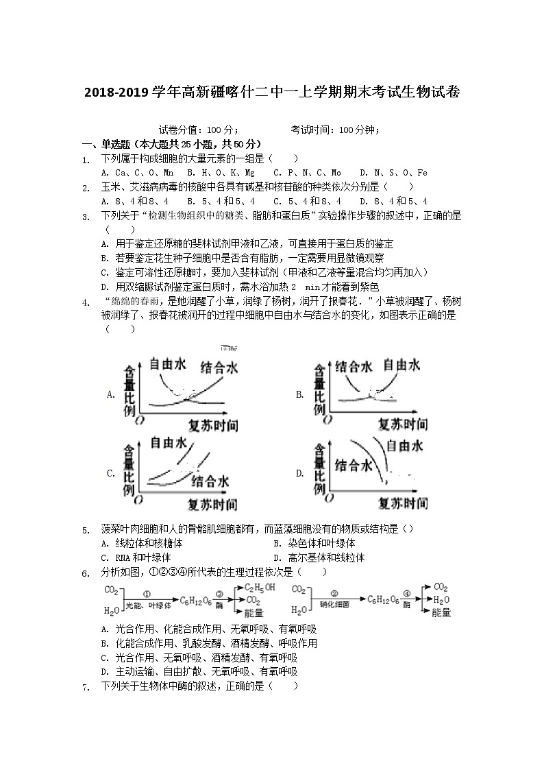 2018-2019学年高新疆喀什二中一上学期期末考试生物试卷  解析版01