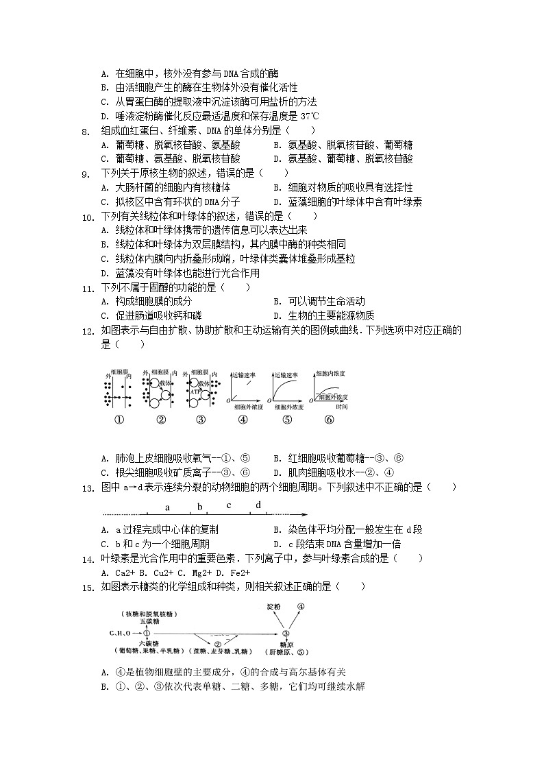 2018-2019学年高新疆喀什二中一上学期期末考试生物试卷  解析版02
