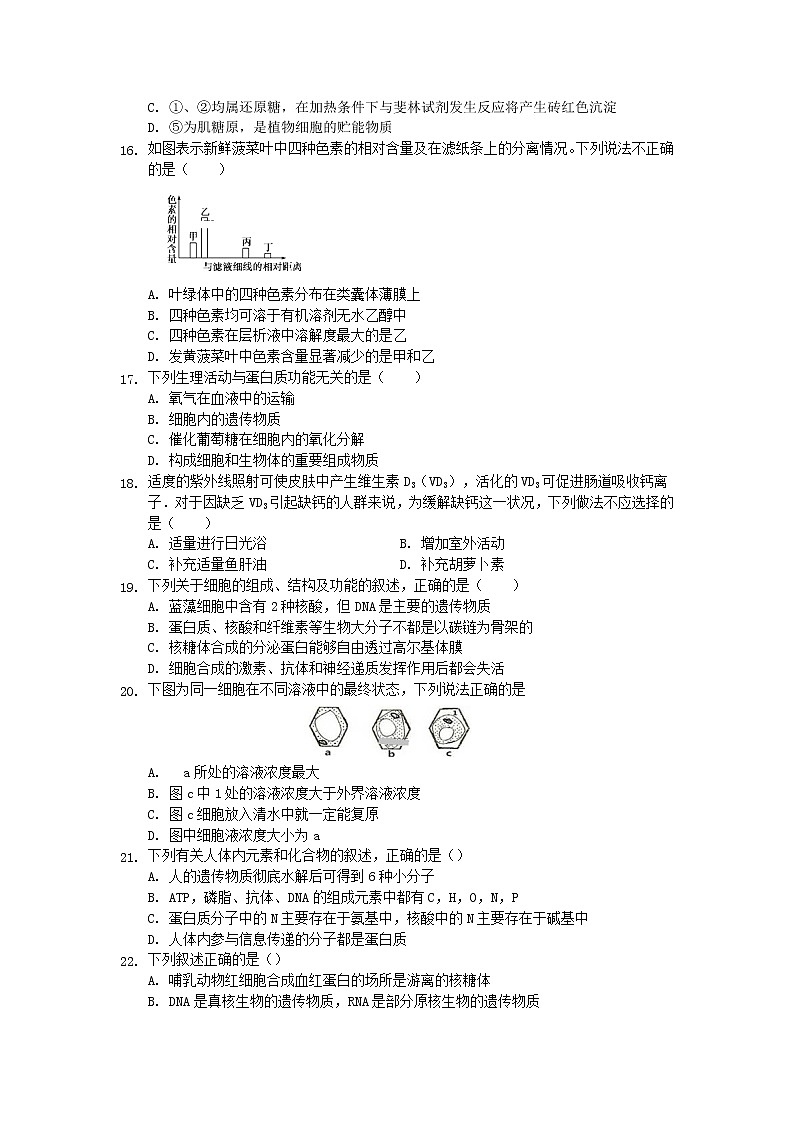 2018-2019学年高新疆喀什二中一上学期期末考试生物试卷  解析版03