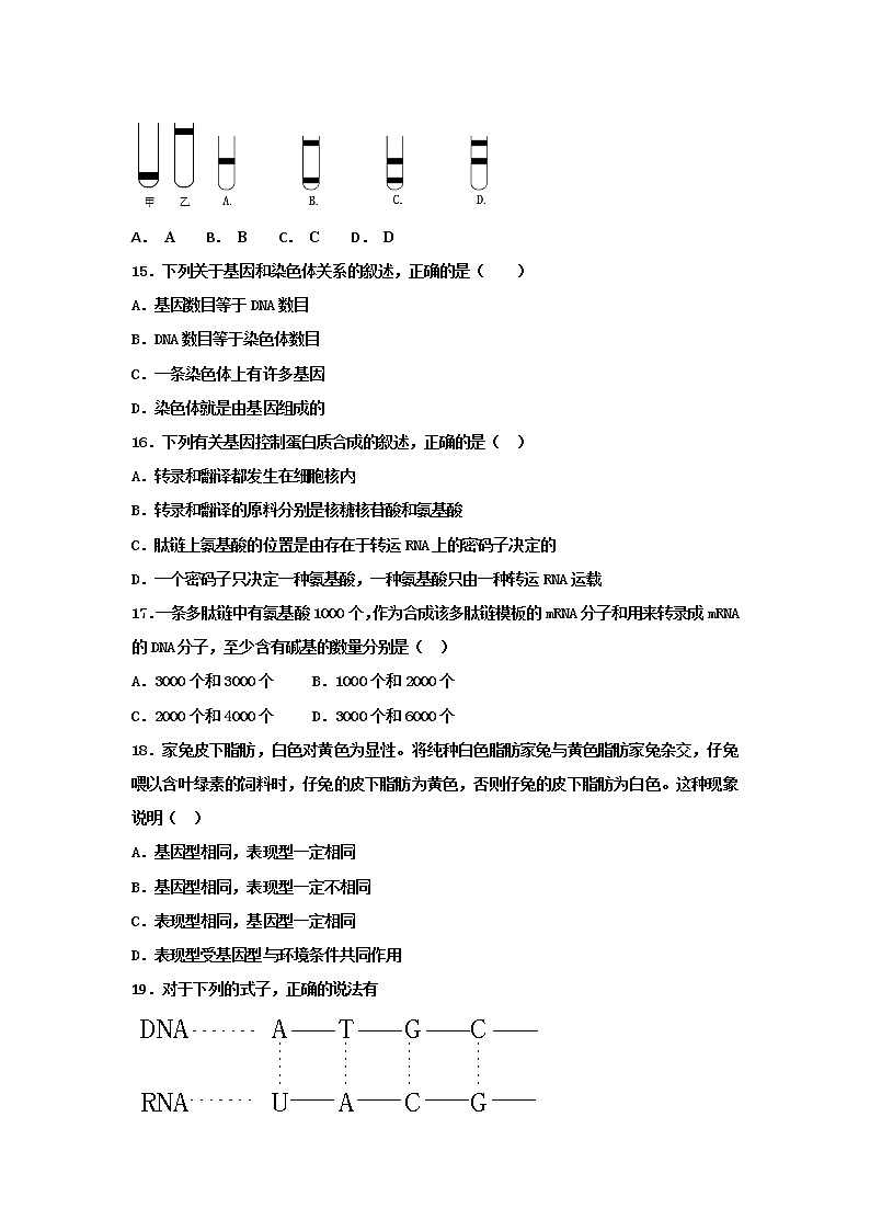 2018-2019学年甘肃省武威第十八中学高二上学期期末考试生物试题 Word版第3页