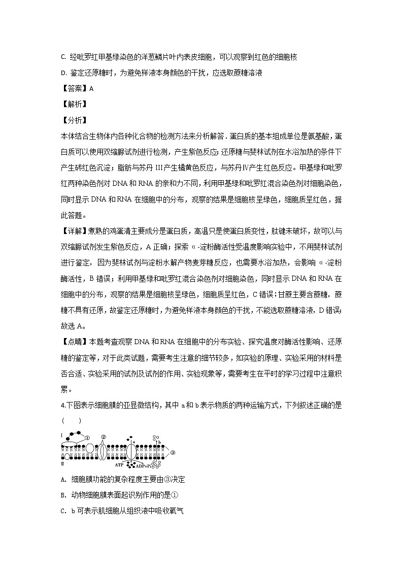 2018-2019学年广西南宁市第三中学高二上学期期末考试生物试题 解析版02