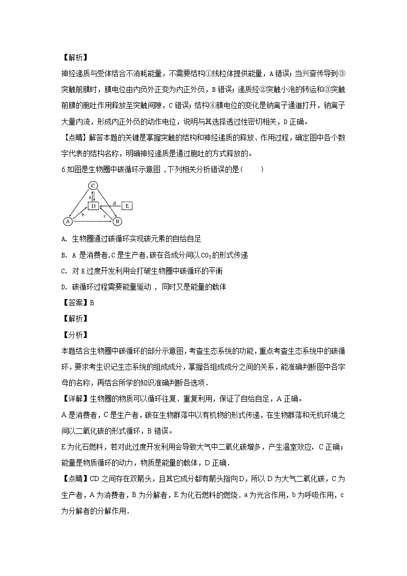 2018-2019学年河北省武邑中学高二上学期期末考试生物试题 解析版03