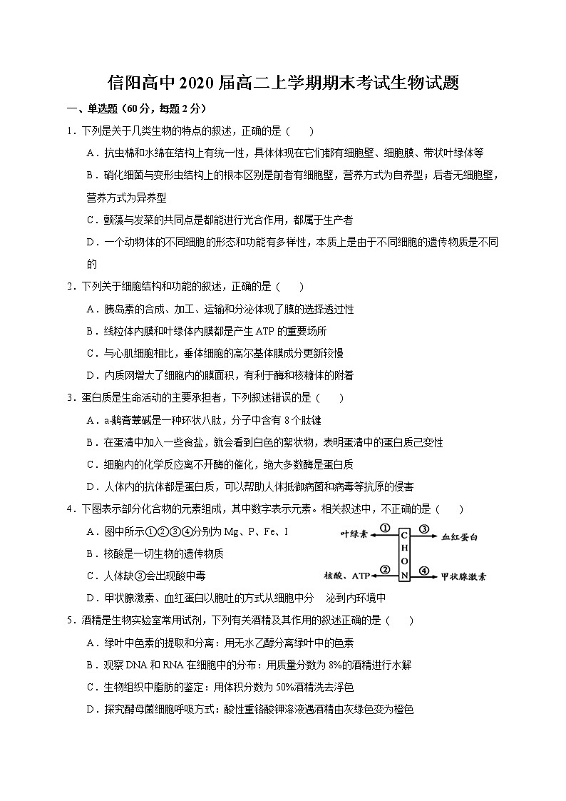2018-2019学年河南省信阳高级中学高二上学期期末考试生物试题 word版01