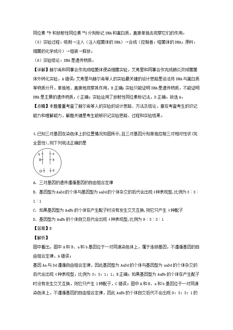 2018-2019学年湖北省咸宁市高二上学期期末考试生物试题 解析版第3页
