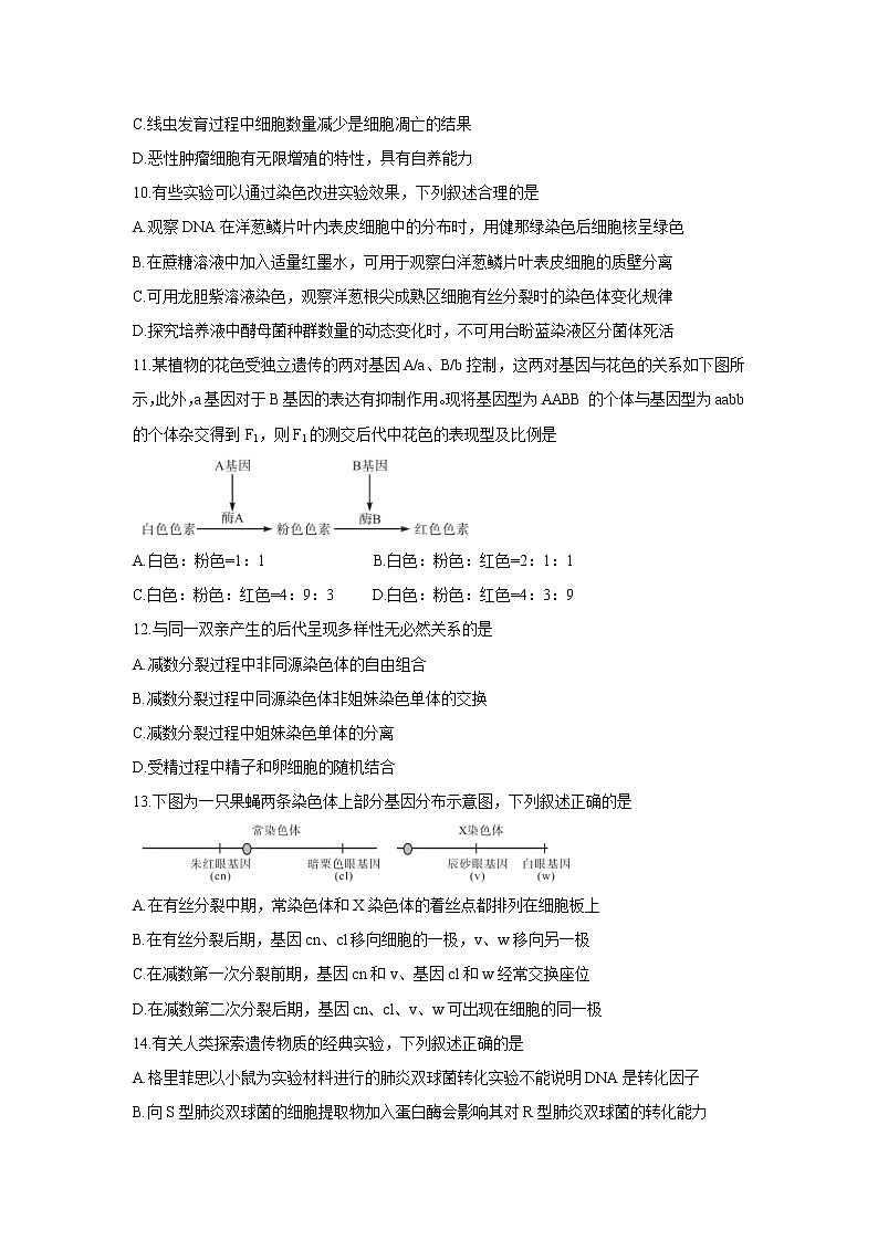 【生物】安徽省示范高中培优联盟2020年高二春季联赛试题03