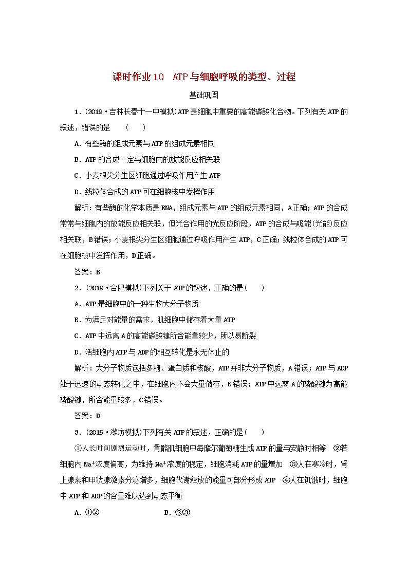 2021高考生物一轮复习课时作业10ATP与细胞呼吸的类型过程含解析第1页