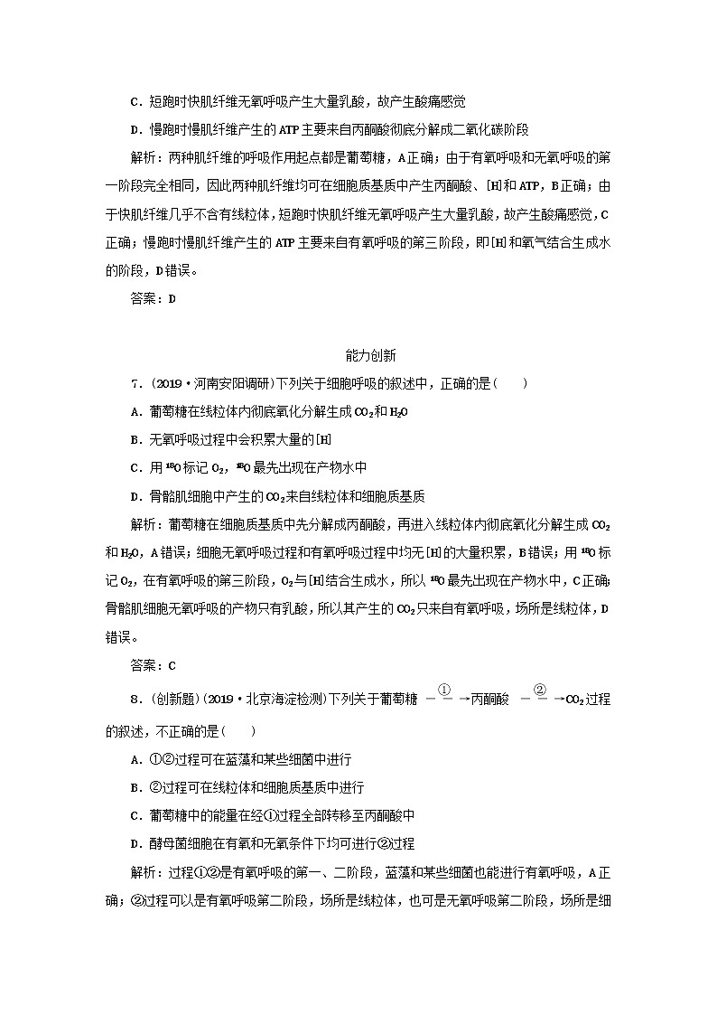 2021高考生物一轮复习课时作业10ATP与细胞呼吸的类型过程含解析第3页