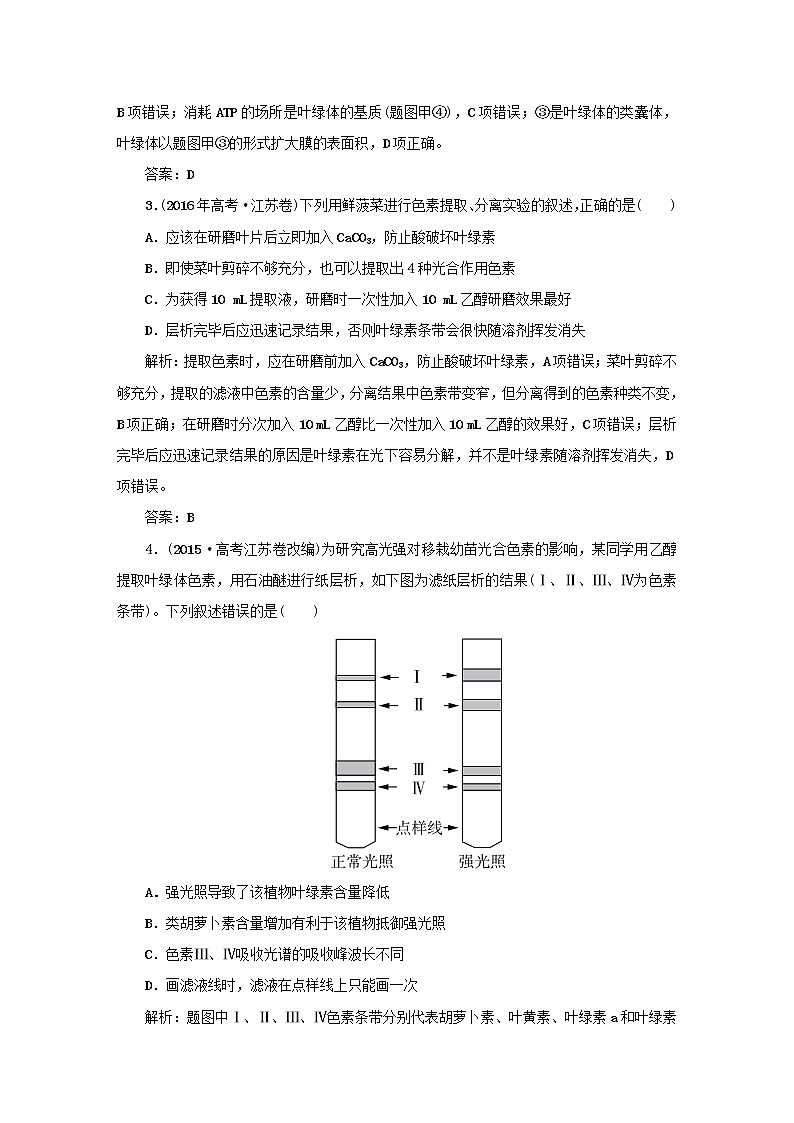 2021高考生物一轮复习课时作业12绿叶中色素的提取和分离含解析第2页