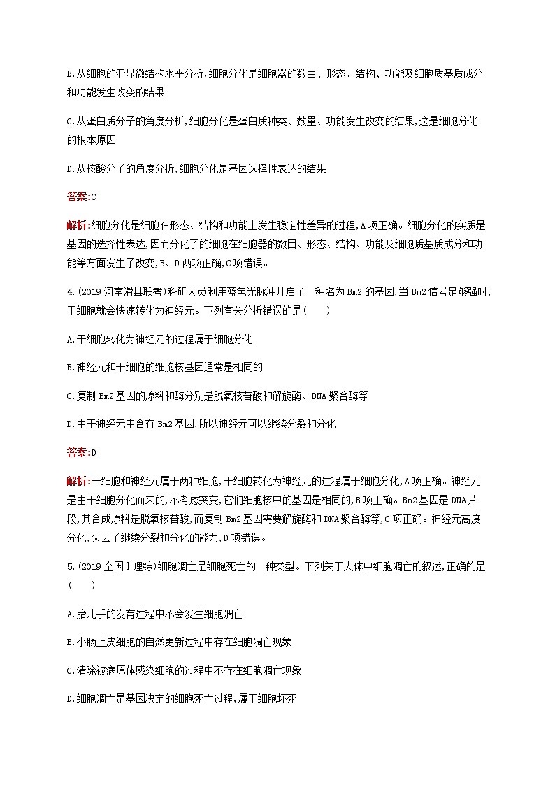 广西专用2020高考生物二轮复习专题能力训练6细胞的分化衰老凋亡和癌变含解析03