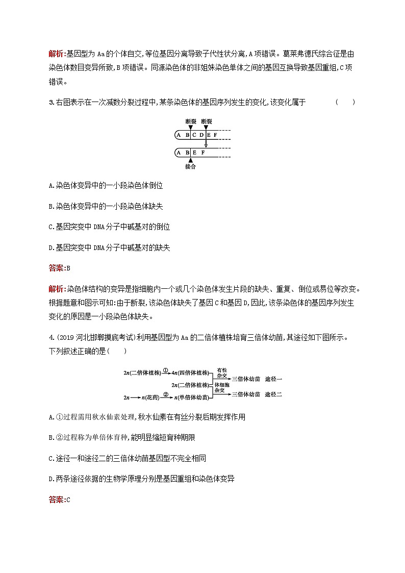 广西专用2020高考生物二轮复习专题能力训练9变异育种和进化含解析03