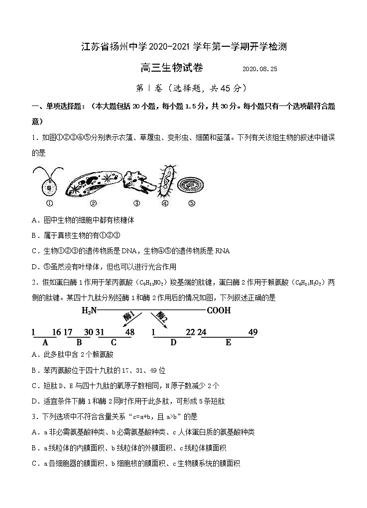 江苏省扬州中学2021届高三上学期开学检测 生物（word版含答案）第1页