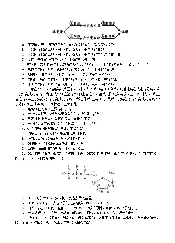 湖北省荆州中学2021届高三8月月考 生物（word版含答案）第2页